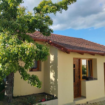 Malé útulné studio s koupelnou a kuchyňkou Svinarov Exterior foto