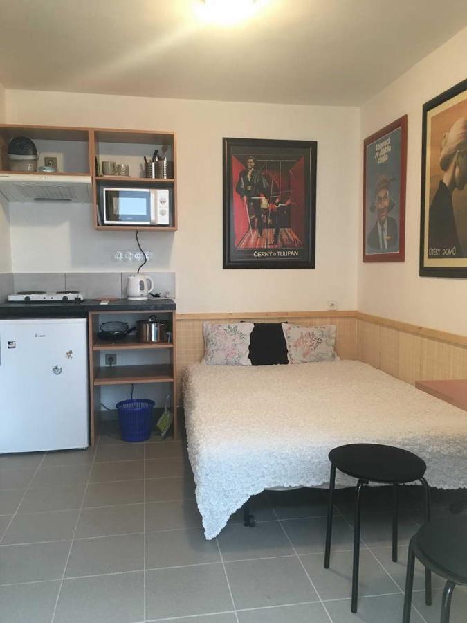 Malé útulné studio s koupelnou a kuchyňkou Svinarov Exterior foto
