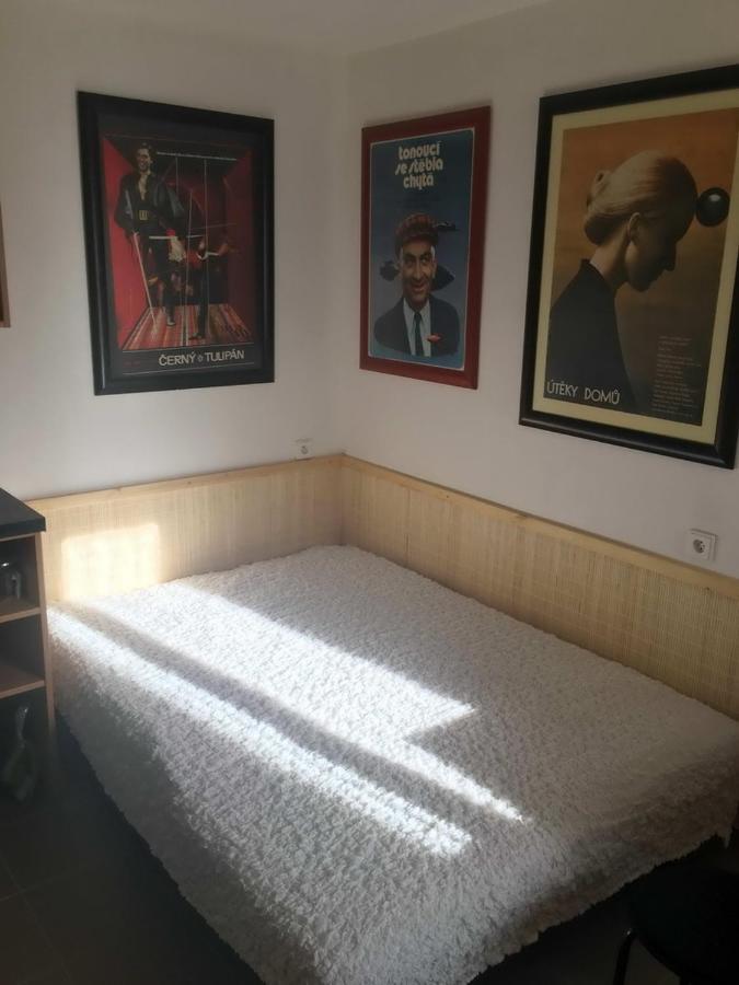 Malé útulné studio s koupelnou a kuchyňkou Svinarov Exterior foto