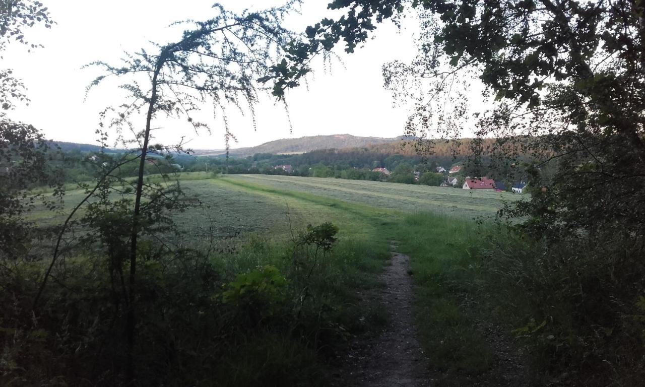 Malé útulné studio s koupelnou a kuchyňkou Svinarov Exterior foto